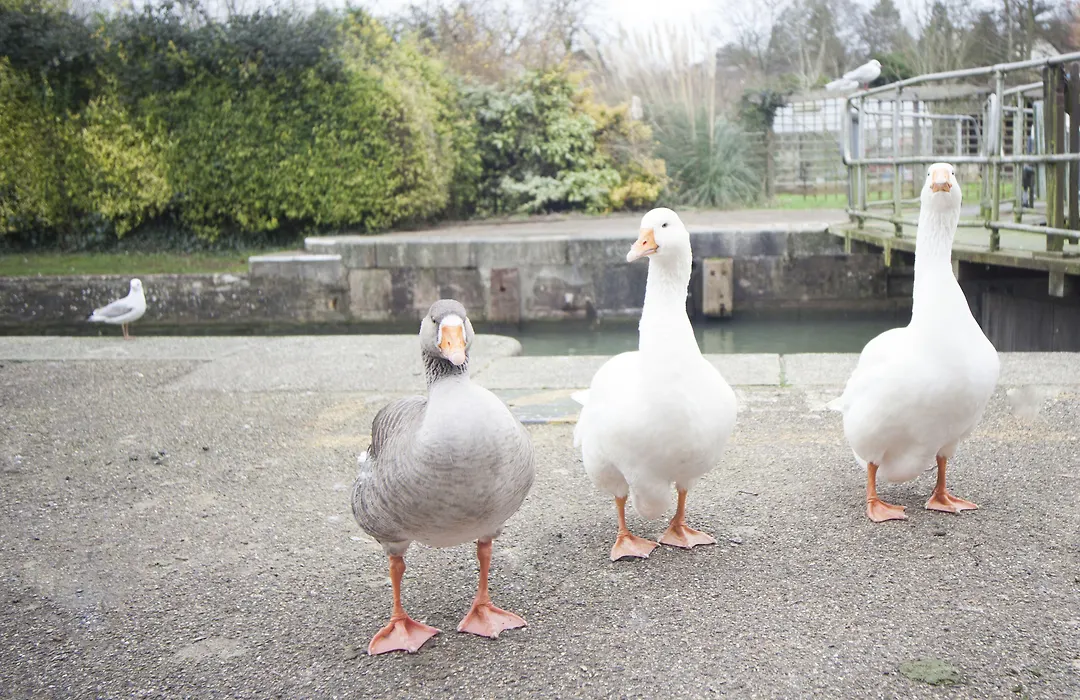 Mercure Oxford Hawkwell House Hotel-1